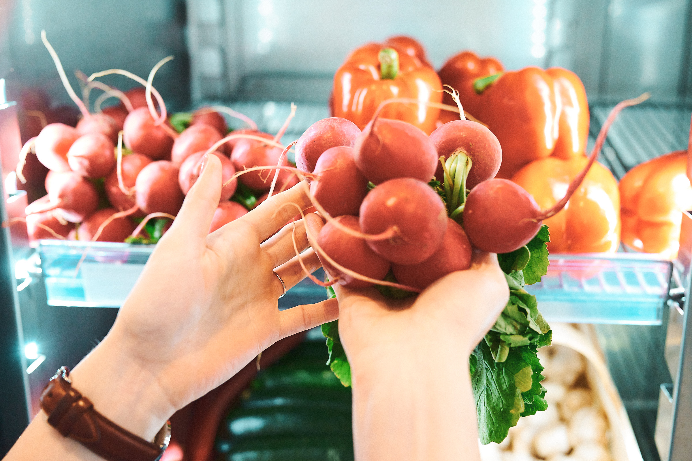 Eine Hand mit einem Bündel Radieschen vor einem Kühlschrank