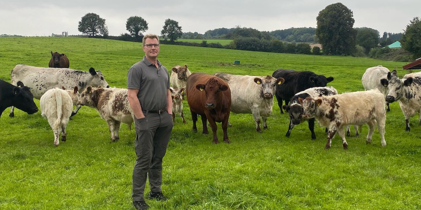 Bild Galloway-Rinder mit Dirk Rehme-Schlüter