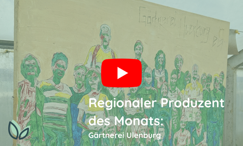 Das Video Share-Pic