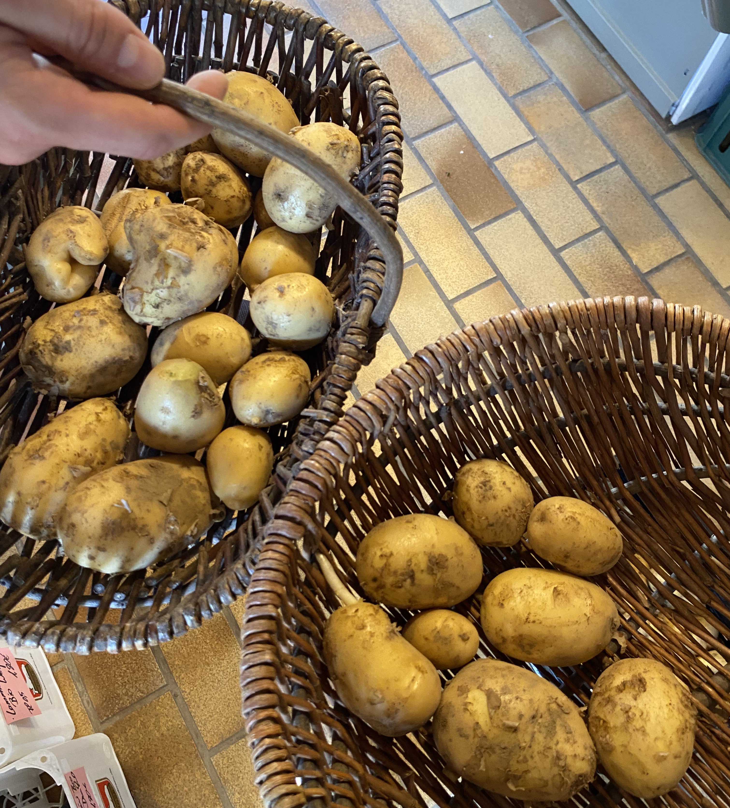 Ein paar junge Kartoffeln in Einkaufskörben