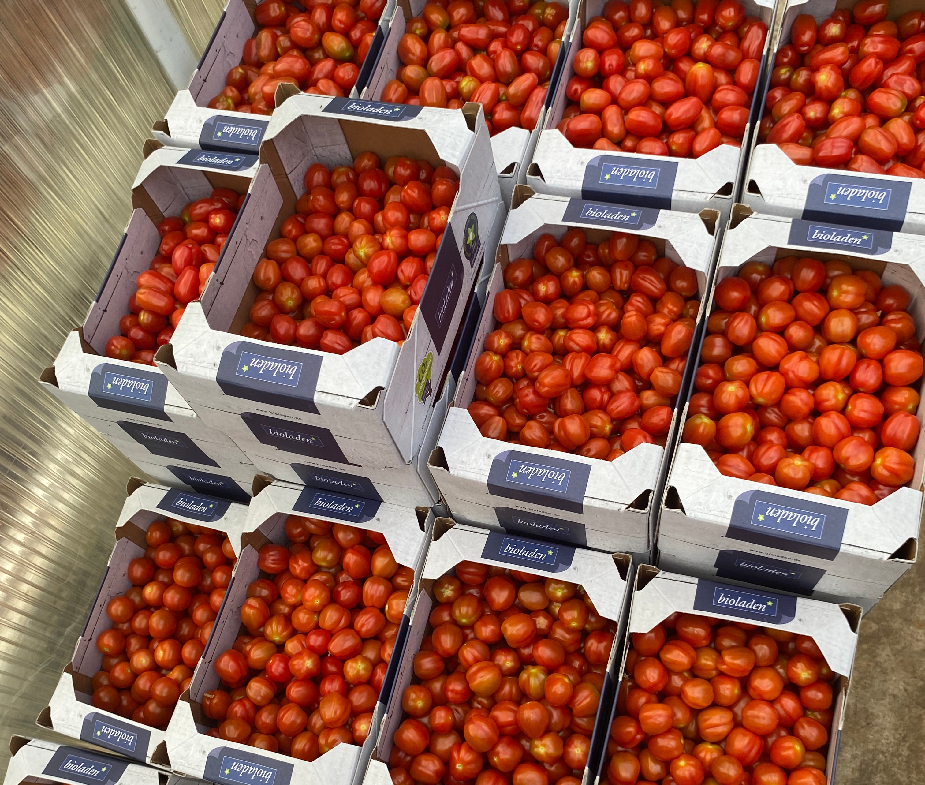 Einige fertig gepackte Kartons mit Tomaten
